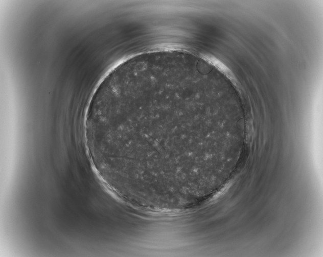 X0000084581039200703161737