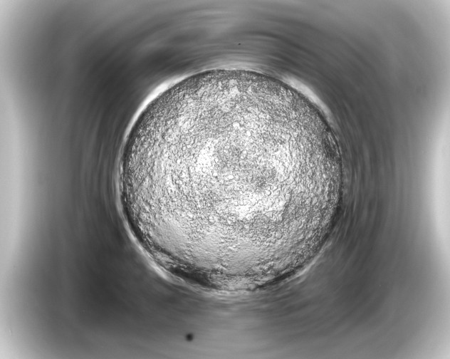 X0000084581040200703161737