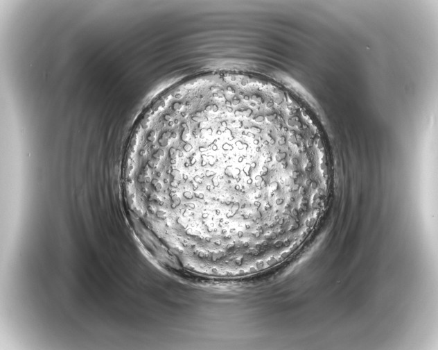 X0000084581041200703161737