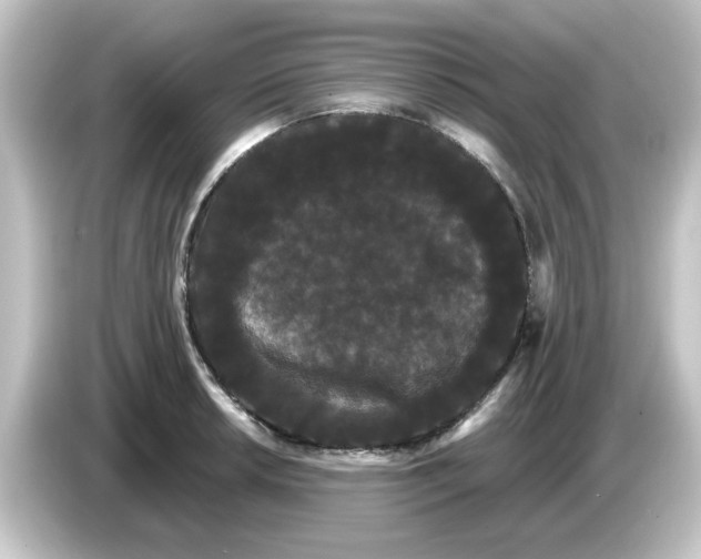 X0000084581042200703161737