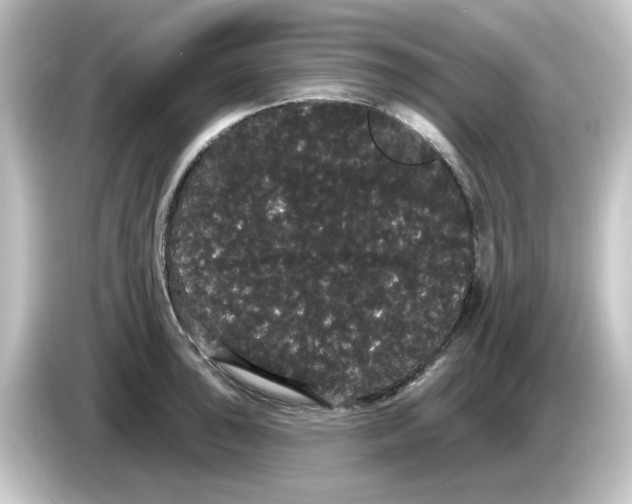 X0000084581043200703161737