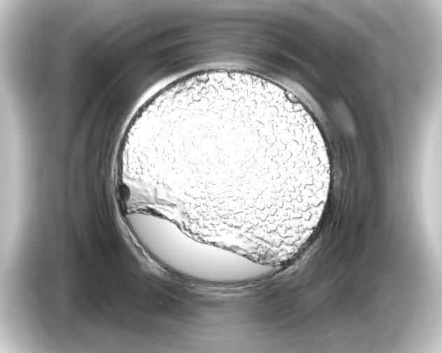 X0000084581044200703161737