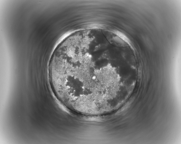 X0000084581047200703161737