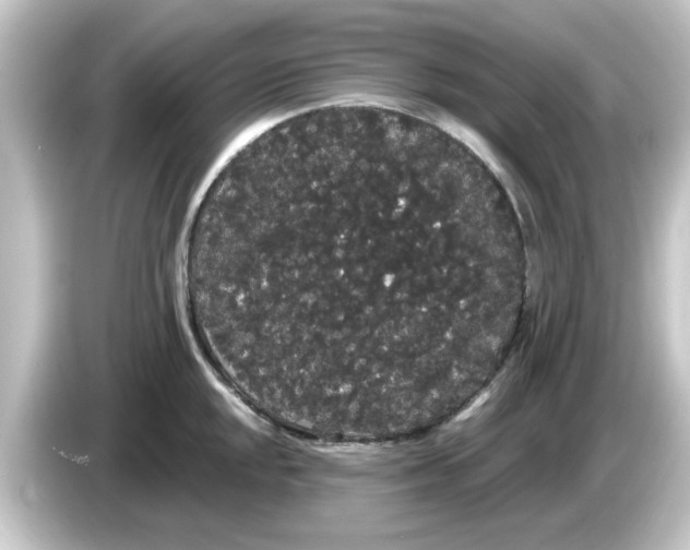 X0000084581048200703161737