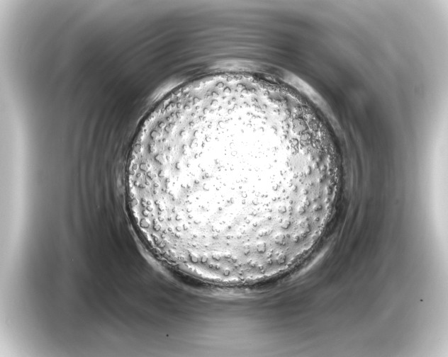 X0000084581049200703161737