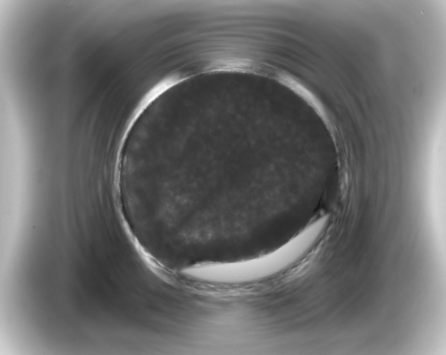 X0000084581050200703161737