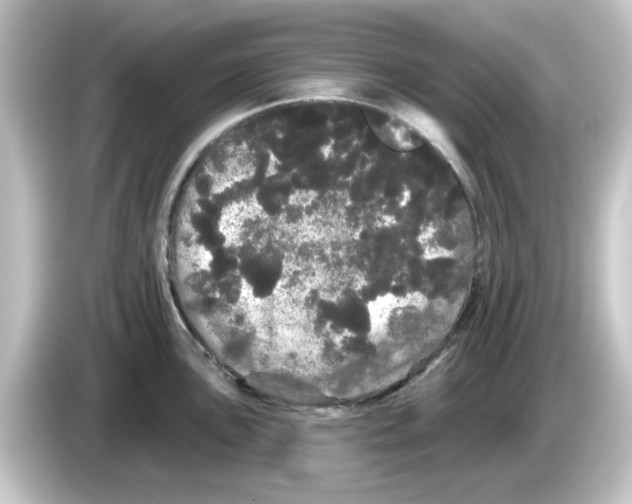 X0000084581051200703161737