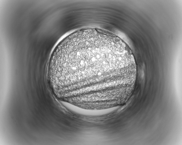 X0000084581052200703161737