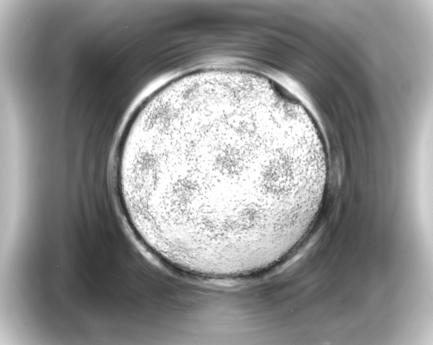 X0000084581053200703161737
