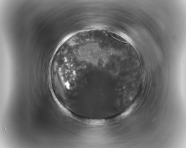X0000084581055200703161737