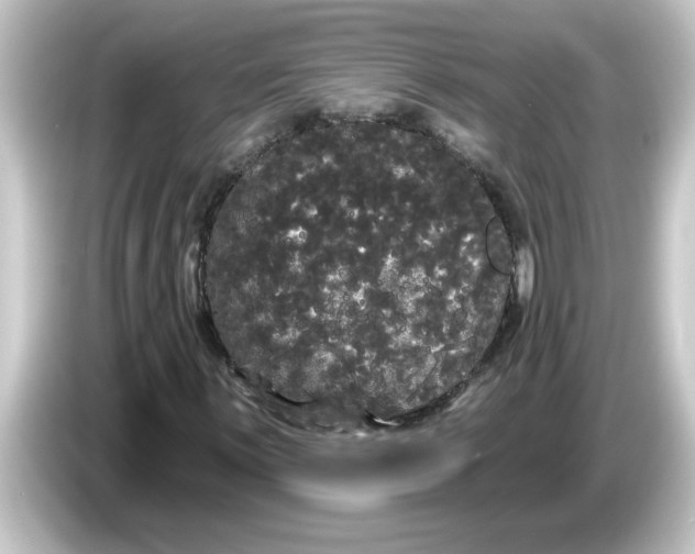 X0000084581059200703161737
