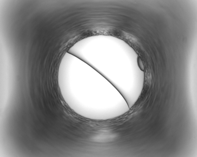 X0000084581060200703161737