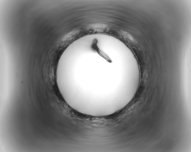 X0000084581062200703161737