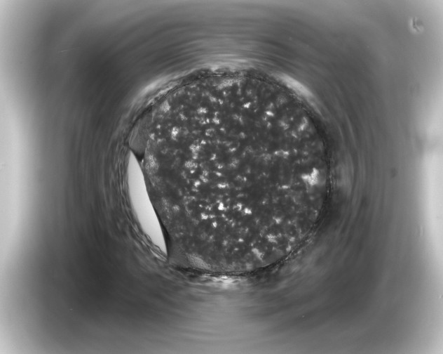 X0000084581063200703161737