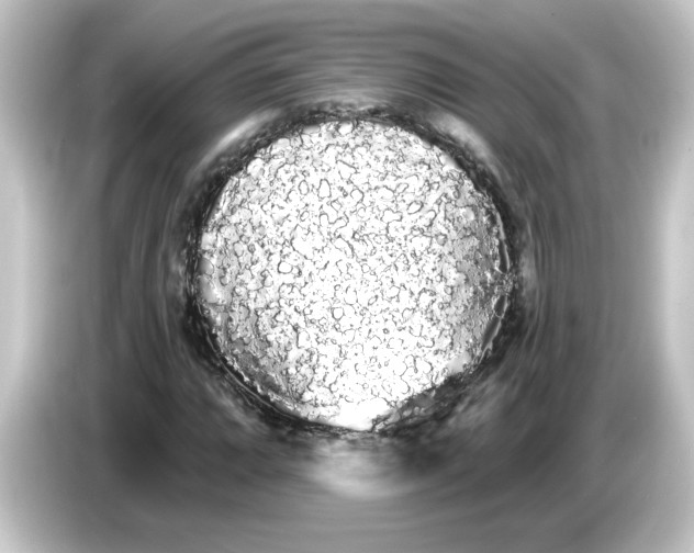 X0000084581064200703161736