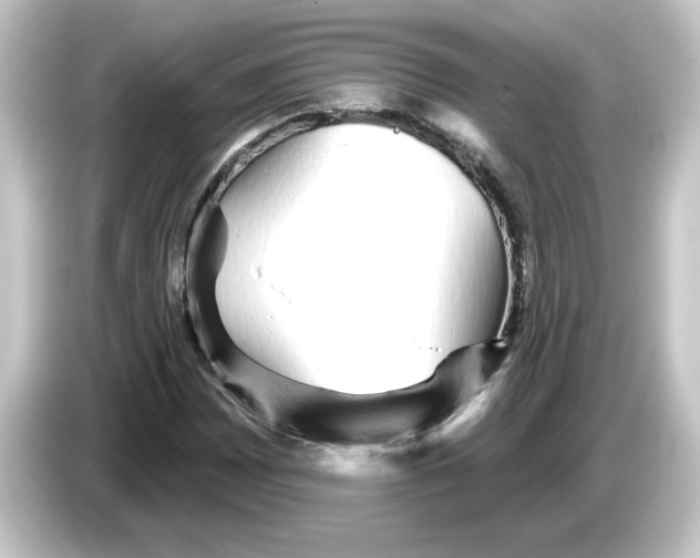 X0000084581065200703161736