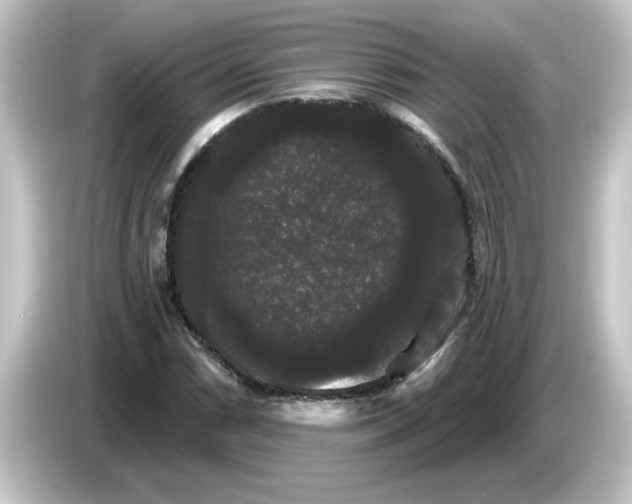 X0000084581066200703161736