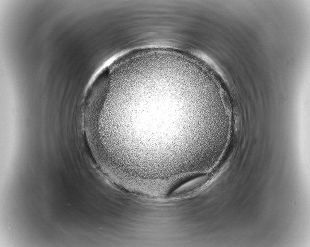 X0000084581069200703161736