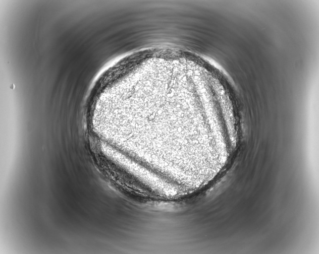 X0000084581070200703161736