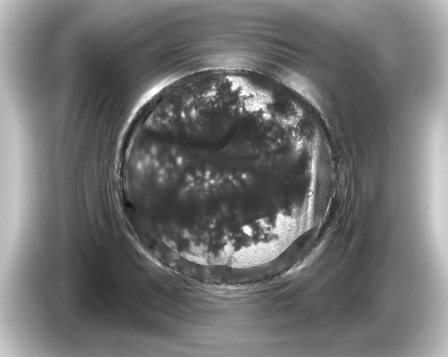 X0000084581071200703161736