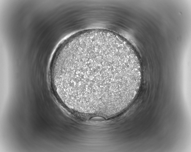 X0000084581072200703161736