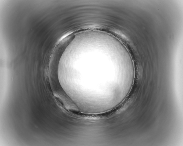 X0000084581073200703161736
