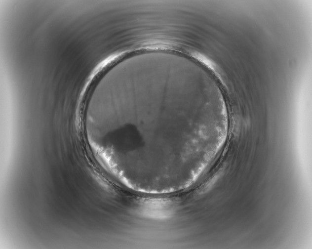 X0000084581074200703161736