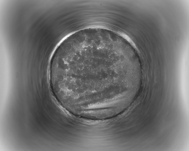 X0000084581076200703161736