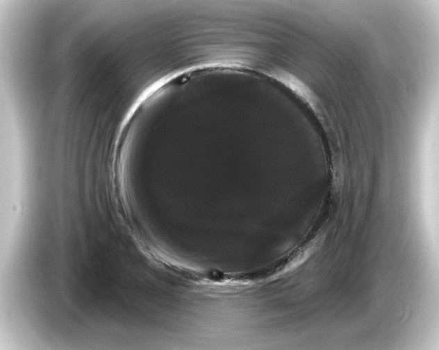 X0000084581077200703161736