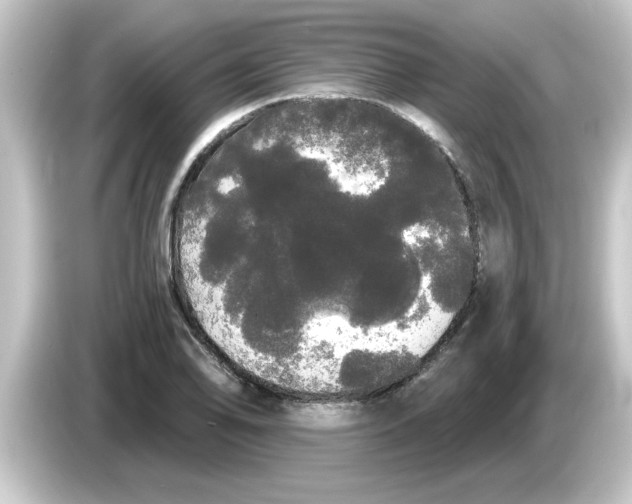 X0000084581078200703161736