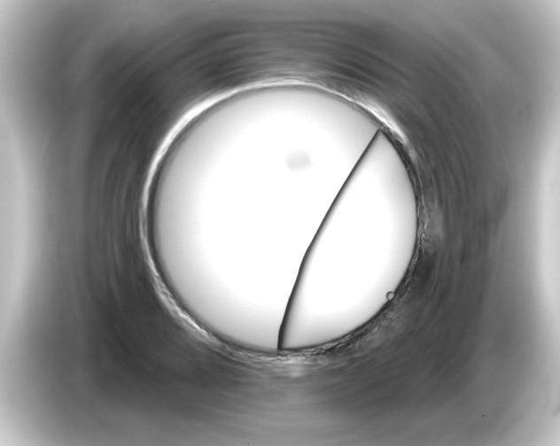 X0000084581080200703161736