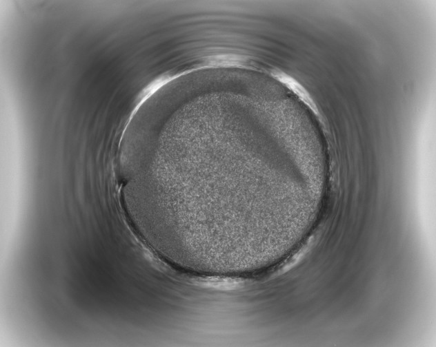 X0000084581081200703161736