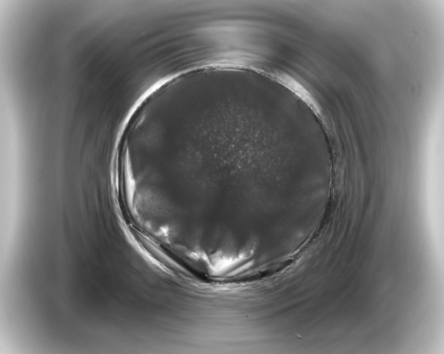 X0000084581084200703161736