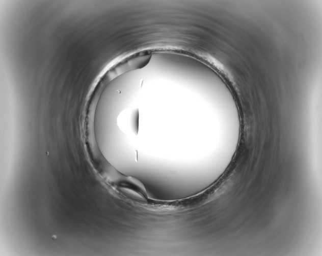 X0000084581085200703161736