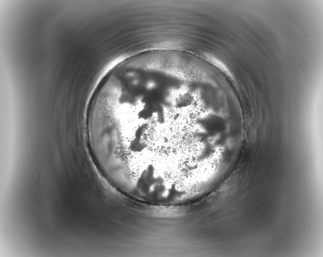 X0000084581087200703161736