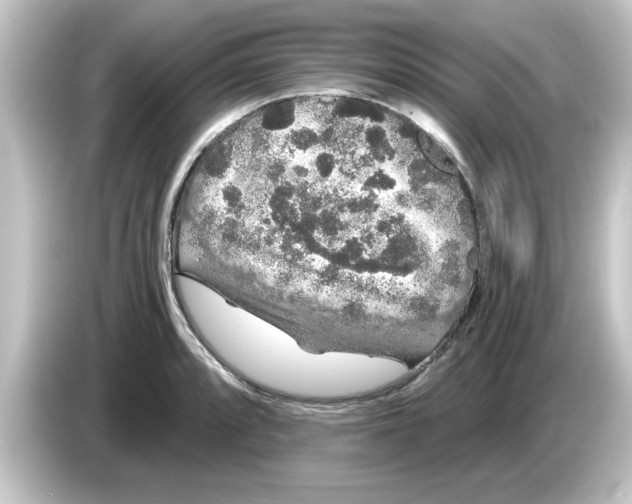 X0000084581088200703161736