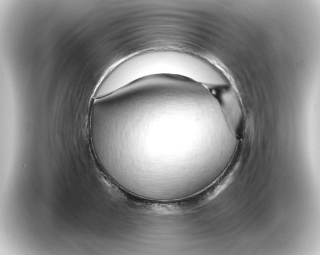 X0000084581089200703161736