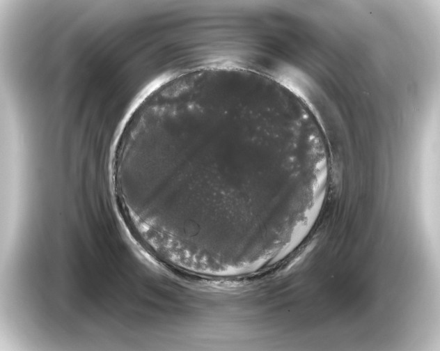 X0000084581090200703161736