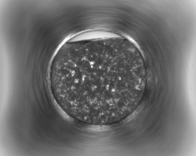 X0000084581091200703161736