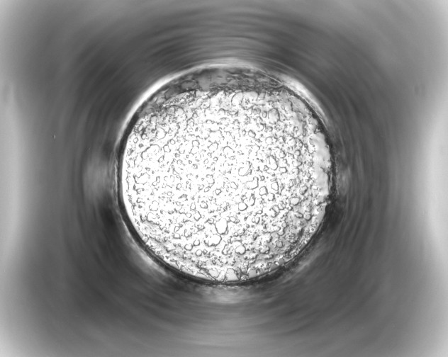 X0000084581092200703161736
