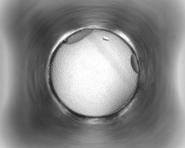X0000084581093200703161736