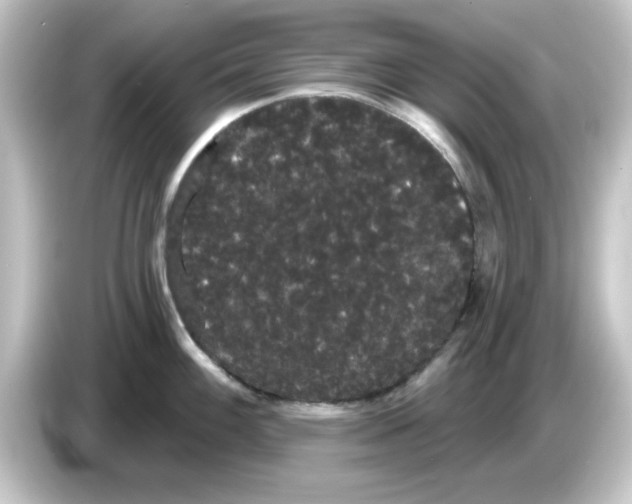 X0000084581100200703161736