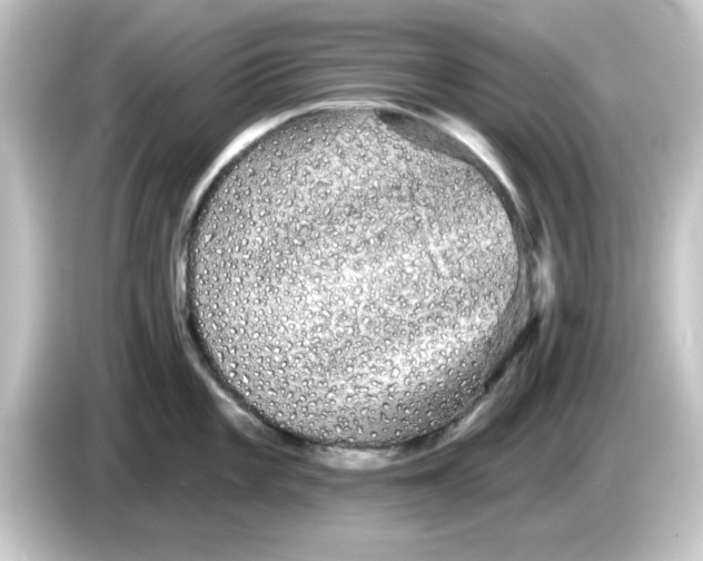 X0000084581101200703161736