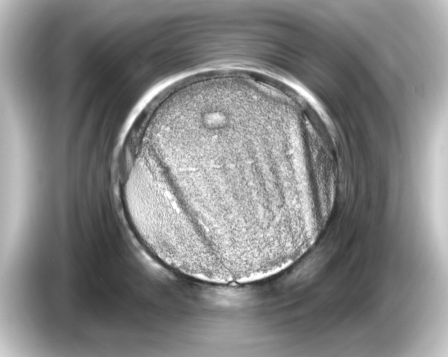 X0000084581102200703161736