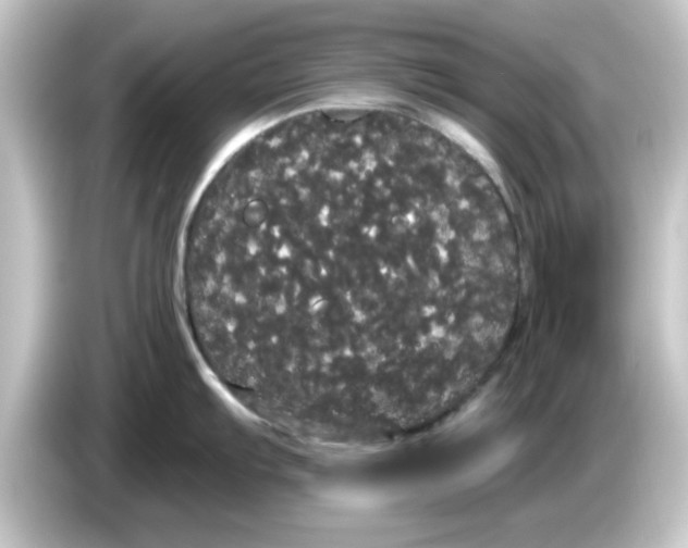 X0000084581103200703161736