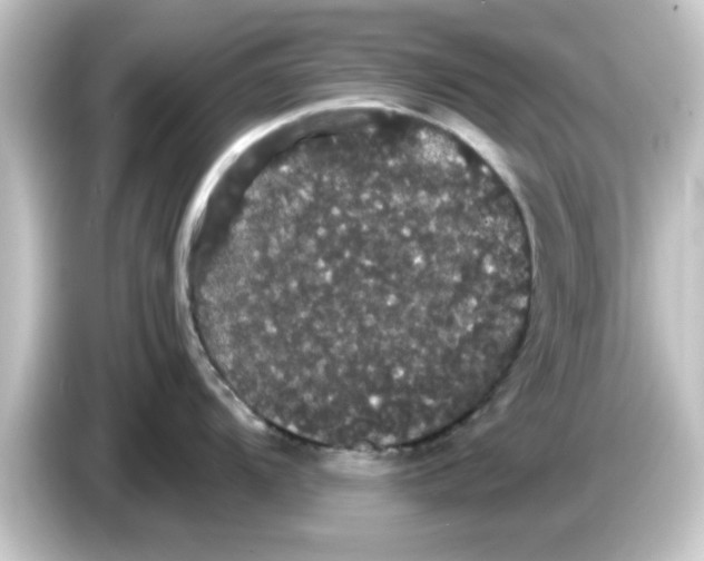 X0000084581104200703161736