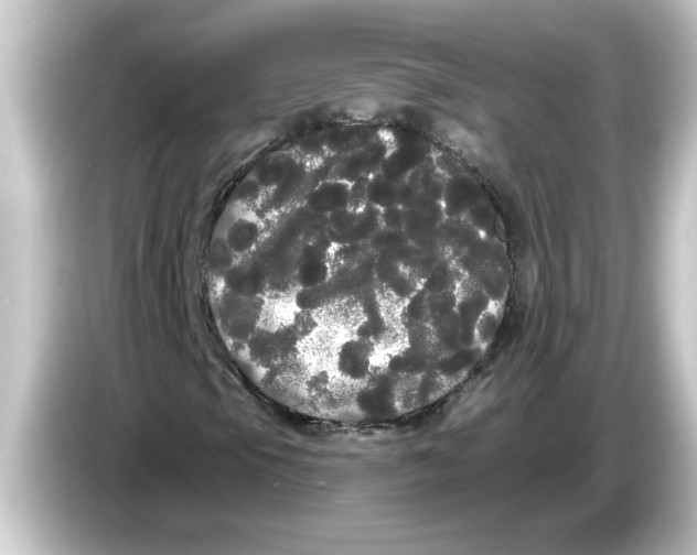X0000084581105200703161735