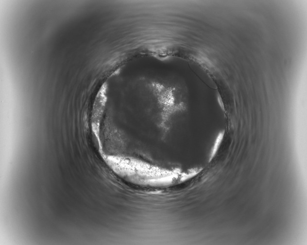 X0000084581106200703161735