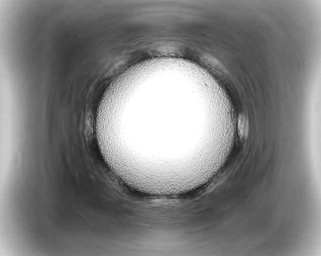 X0000084581107200703161735
