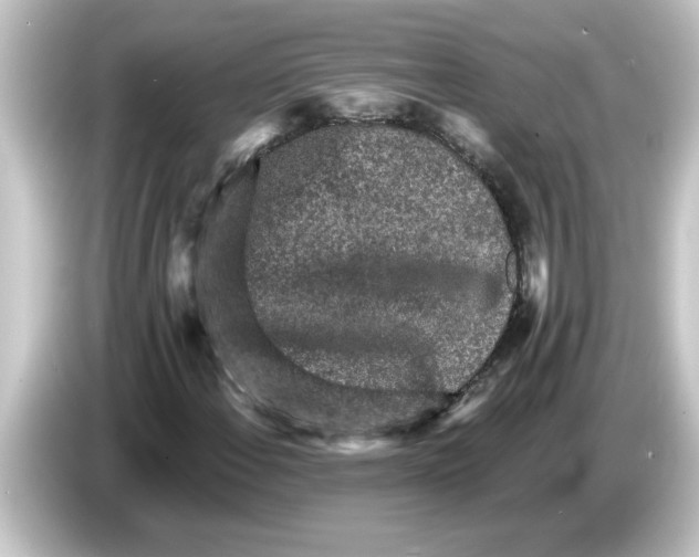X0000084581108200703161735